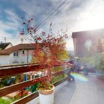 HUNGERBERG-11172022_112227