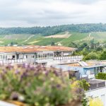 Heilbronn_Penthaus-22