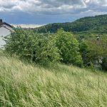Blick auf den Weinsberg