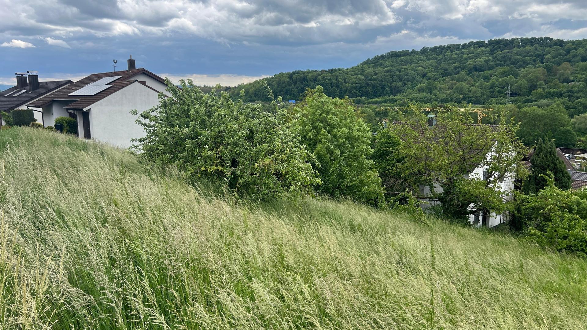 Blick auf den Weinsberg