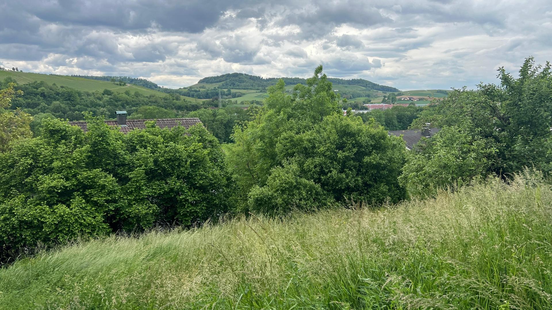 Blickrichtung Süd-West